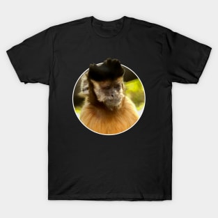 Tufted capuchin T-Shirt